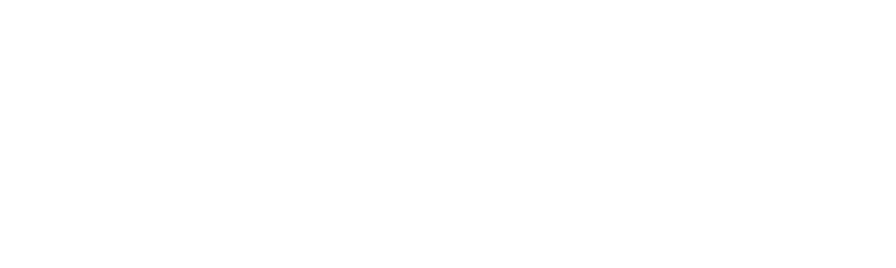 Portal Nexus logo